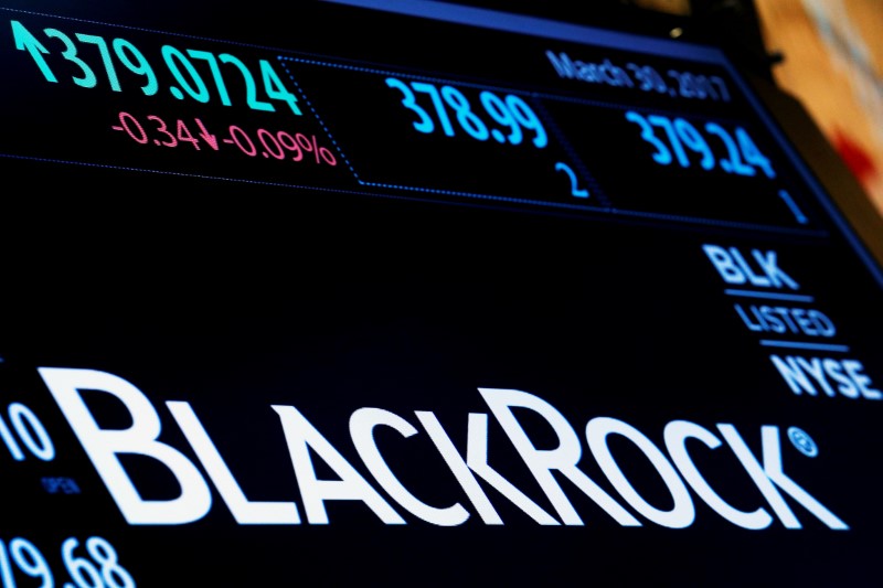 Крупнейший инвестфонд BlackRock приобрел акции Beluga Group