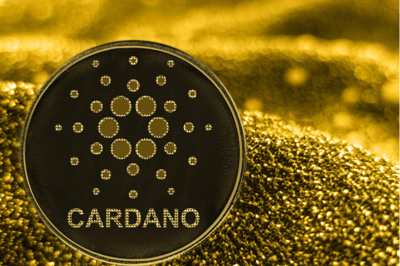 Любовь к Cardano и опасения FItch: новости крипторынка