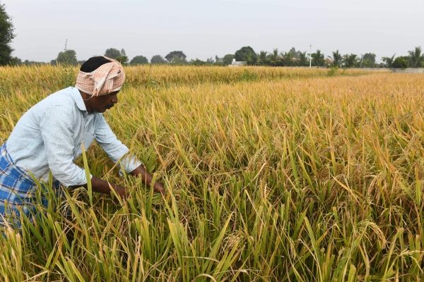 Премьер-министр Нарендра Моди заявил, что Индия отменит три спорных закона о сельском хозяйстве