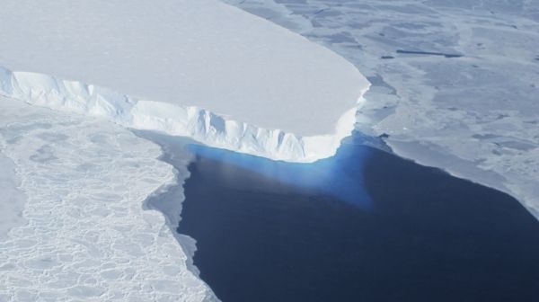 Ученые предупреждают, что крупный шельфовый ледник Антарктики может разрушиться в течение пяти лет